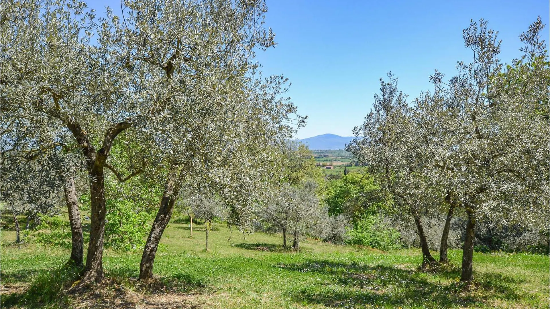 Holiday home Cozy Home In Monte San Savino With Wifi Italy